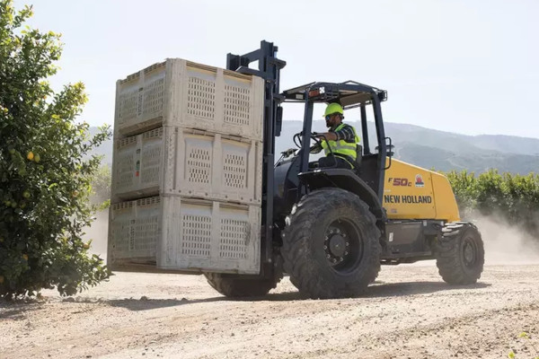old New Holland | Forklifts | Model F50C for sale at Lowe & Young, Inc., Ohio